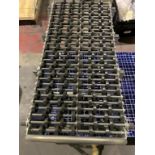 Expandable Roller Conveyor