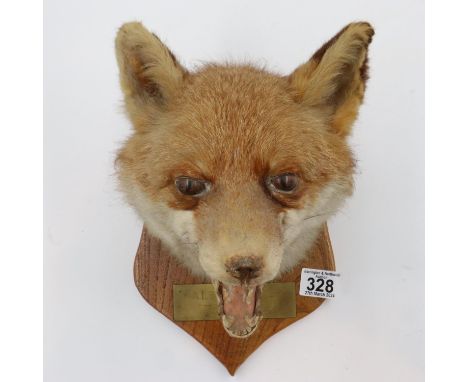 Wall mounted fox mask H: 23 cm. UK P&amp;P Group 3 (£30+VAT for the first lot and £8+VAT for subsequent lots) 