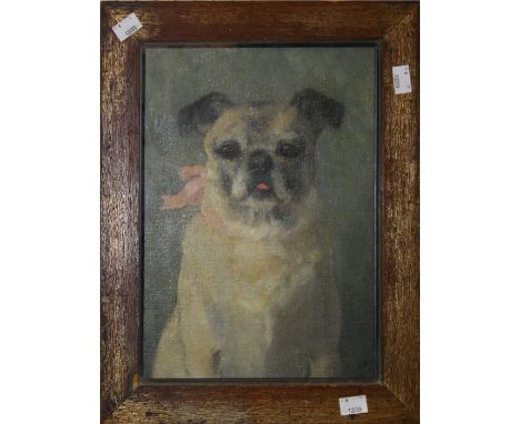 Late 19th century European school, portrait of a pug, seated wearing a pink ribbon collar. Oil on canvas, 32 x 23cm
