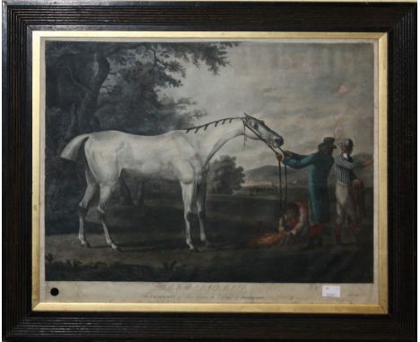 An etching with aquatint of the racehorse Grey Diamond, property of The Duke of Bedford, after Robert Dodd 1748-1815 British,