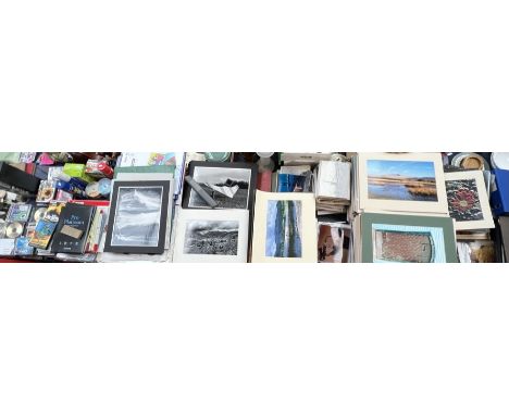 An extensive array of framed photographs, many submitted to Newport and Rhiwbina Camera Club competitions, including portrait