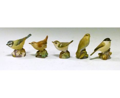 Five Royal Worcester bisque porcelain bird ornaments - Wood Warbler, Gold Crest, Wren, Marsh Tit and Blue Tit   Condition: 