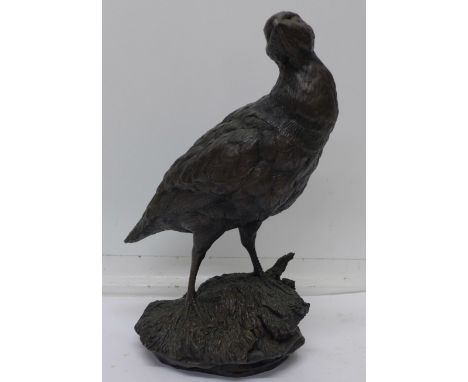 A bronze model of a partridge, signed R. Donaldson, 27cm