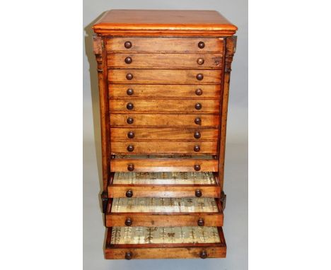 A VICTORIAN BUTTERFLY COLLECTION in a twelve drawer chest with turned wooden handles on bracket feet. 2ft 10ins high, 1ft 8in