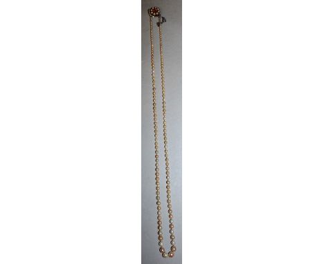 A STRING OF PEARLS with citrine and pearl clasp.