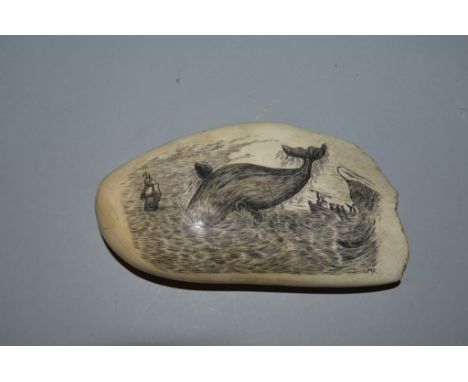 A GOOD LARGE SCRIMSHAW WHALES TOOTH etched with a whale hunting scene Signed with initials M.C 5.5ins long, 3ins wide overall