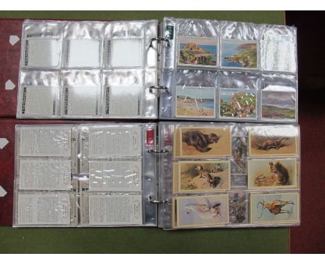 Collections of Clean Cigarette Cards in Two Very Well Filled Albums. Multithematic, Manufacturers present include W. A. & A. 