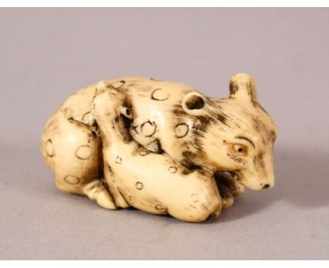 A JAPANESE MEIJI PERIOD CARVED IVORY NETSUKE - SHEEP &amp; LAMB  - the sheep recumbent with its young - underside signed " Gy