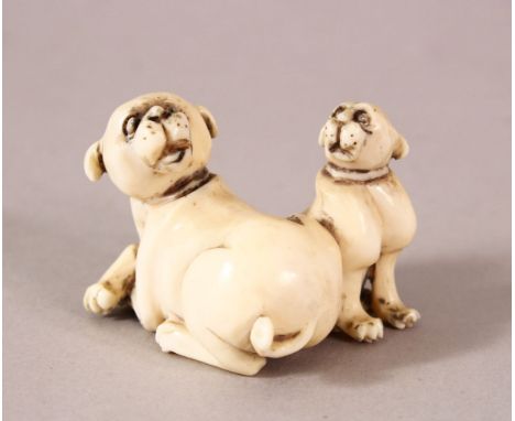 A JAPANESE MEIJI / TAISHO PERIOD CARVED IVORY NETSUKE OF TWO dogs - the parent recumbent with pup aside, underside signed - 4