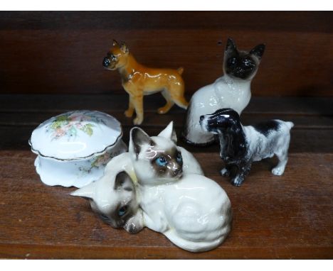 Royal Doulton cats, a Beswick Siamese cat, a Beswick spaniel, a dog and a trinket pot, spaniel a/f