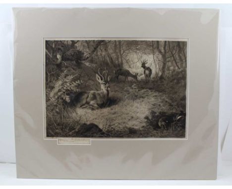 AFTER ARCHIBALD THORBURN "The Haunt of the Roe", en grisaille print, published by the Fine Art Society, 1901, signed 28cm x 4