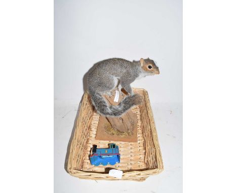 Taxidermy squirrel, basket and a Thomas the Tank Engine egg cup