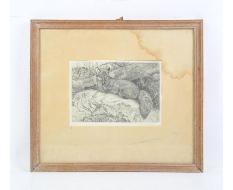 Winifred Austen (1876-1964). Fox resting by a tree. Etching, signed lower right margin. Plate size 23 x 16cm. 