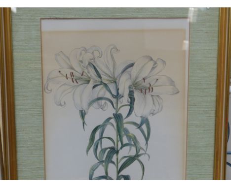 A PAIR OF BOTANICAL PRINTS TOGETHER WITH OTHER FLORAL PICTURES AND A 20th CENTURY COASTAL WATERCOLOUR, SIZES VARY