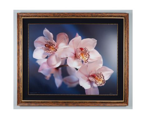 A stunning limited edition photograph on panel titled Reflections of Aloha by Elaine Morgan, co-founder of Eclectic Image Gal