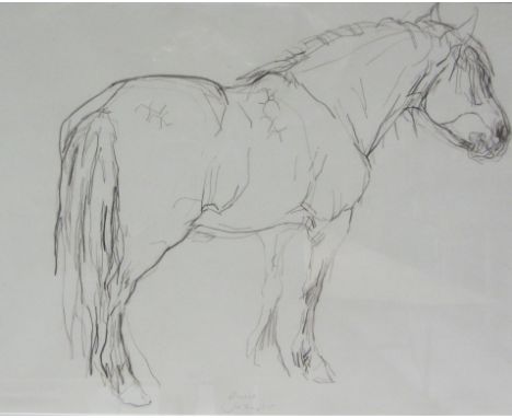 Jo Taylor (British 1969-): 'Quest of Mendick' - Portrait of the Champion Highland Pony, crayon signed and titled 57cm x 76cmD