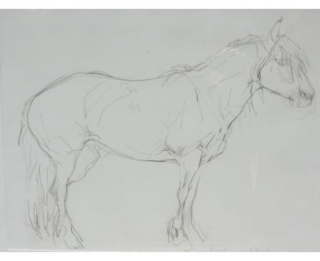 Jo Taylor (British 1969-): 'Quest of Mendick' - Portrait of the Champion Highland Pony, crayon signed and titled 57cm x 76cmD