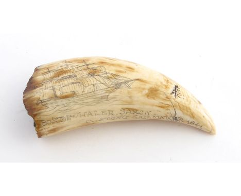 Scrimshaw A sailor's scrimshaw whale's tooth, one side decorated with a three masted ship, the verso with a gig chasing whale