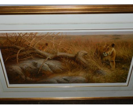 After Dick Van Heerde, Lionesses Hunting, print. H: 40cm W: 80c