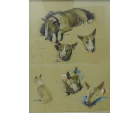 Mid Century School  Pastel Sketch of Dogs Signed indistinctly and dated 1964,  in a glazed frame, 52 x 72cm