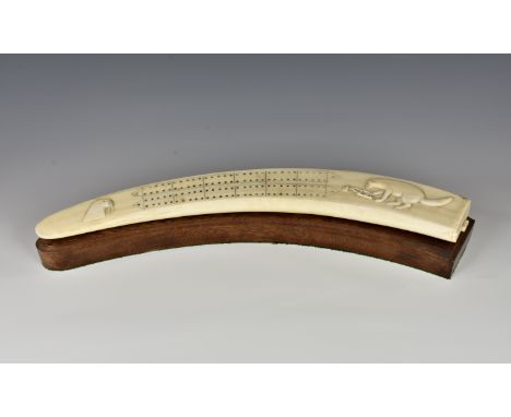 An Inuit Walrus tusk cribbage board, the top relief carved with polar bear in trap and walrus head, the centre with drilled h