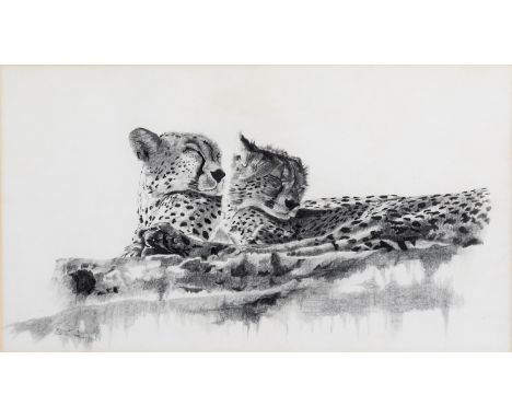 English School (third quarter 20th century), Sleeping cheetahs, pencil drawing, signed with shark form monogram and dated 78 