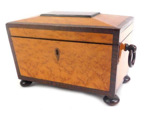 A Regency birds eye maple and rosewood tea caddy, of sarcophagus form, with double ring handles, the hinged lid opening to re
