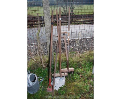 A quantity of garden tools; fork, hoe, rake, etc.