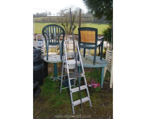 A three rung aluminium step ladder and bird feeding station.