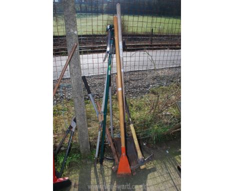 A long pole saw, long handled shovel, hole spade, pick axe, etc.