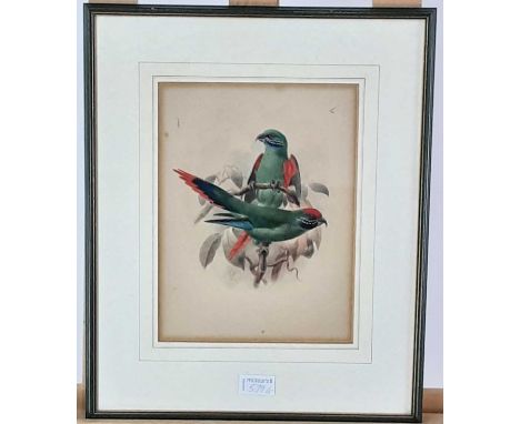 LITHOGRAPH OF EXOTIC BIRDS, framed, mounted and under glass