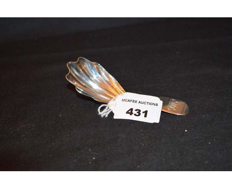 A Large Rare Provincial Caddy Spoon, Exeter 1848, W.R Sorey