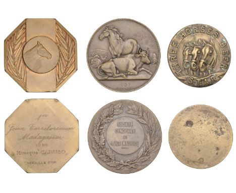 Madagascar, Société Cynophile de l’Ile Maurice, 1907, a bronze medal by A. Dubois, 49mm, 69.88g; Madagascan Territorial Games