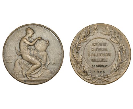 Mauritius, National Institute of Colonial Agronomy [Institut National d’Agronomie Coloniale], 1925, a bronze prize medal by A