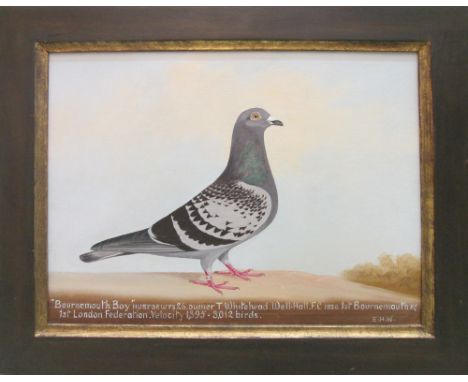 EDWARD HENRY WINDRED, 'Bournemouth Boy - Pigeon Portrait', oil on canvas, 34cm x 44cm, monogrammed, framed.'