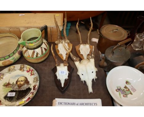 Four hunting trophies 