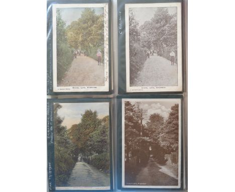 Postcards, Hampshire, a detailed collection in modern album of approx. 214 cards of Ringwood. Cards corner mounted with many 