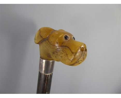 A Walking Stick with Dog's Head Grip. The dog's head having glass eyes, approx 88 cms long.&nbsp;