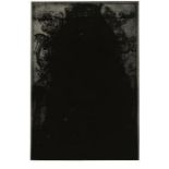 Glenn Brown – Layered Portrait (after Urs Graf) 2, 2008, Etching on paper, Velin Arches 300 gsm (