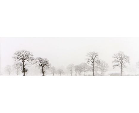 Ed Collacott, "Winter Wood East Suffolk", signed print, titled to the mount, housed in a glazed ebonised frame, the print 36.