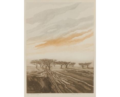 Robert Barnes (B1947), "Orchard Edge", signed and titled limited edition print, numbered 11/100, housed in a glazed dark stai