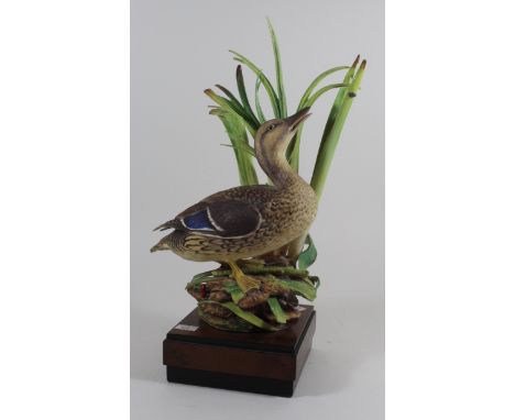 Two Royal Worcester animal figuresTo include American Pintail, height 33cm, Mallard, height 35cm, each modelled by Ronald Van