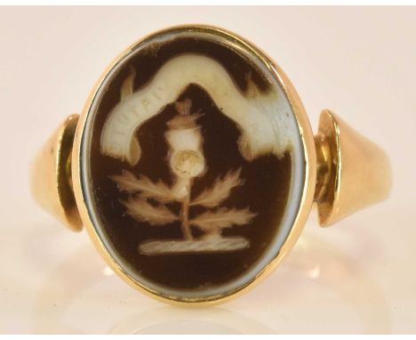An 18ct yellow gold signet ring, with engraved hardstone oval plaque set with a thistle, size K 1/2, approx 4g.