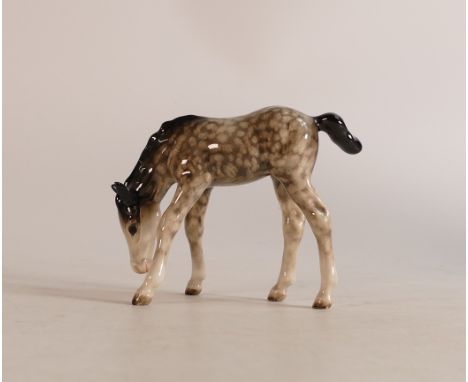 Beswick grazing foal 946 in Rocking horse grey gloss