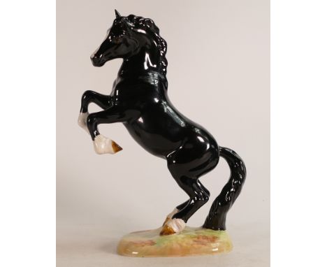 Beswick model of a rearing Welsh Cob in black gloss, model 1014. In our opinion this item is not factory painted.