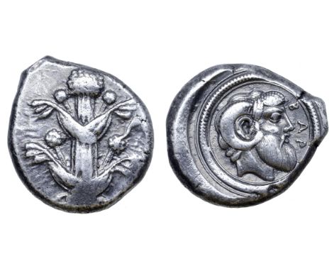 Kyrenaika, Barke AR Tetradrachm. Circa 440-420 BC. Silphium plant with leaves and flowers / Bearded head of Zeus Ammon to rig