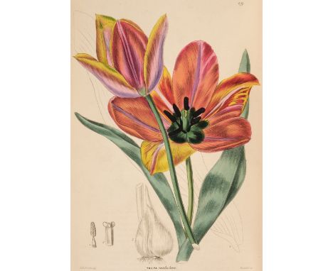 Sweet (Robert). The Ornamental Flower Garden and Shrubbery, volume 1 only (of 4), 1852, half-title present, 80 engraved plate