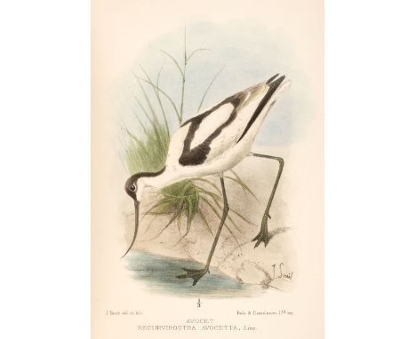 Balston (Richard James, and others). Notes on the Birds of Kent, 1st edition, London: R. H. Porter, 1907, collotype frontispi