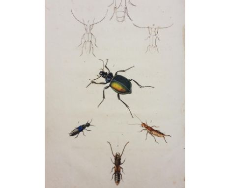 Lucas (C.) . An Essay on Waters. In Three Parts, 3 volumes, printed for A. Millar, 1756, 1 black &amp; white folding plate, p