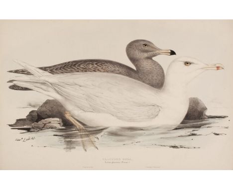 * Lear (Edward). Rock Ptarmigan. Lagopus rupestris, from John Gould, The Birds of Europe, [1832 - 37], lithograph with contem